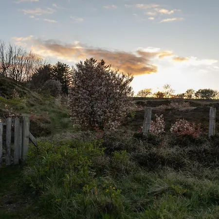 Tatil Evi Reethues Mit Kamin Und Suedgarten In Direkter Wattnaehe *